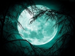 Full Moon