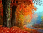 Glory of autumn
