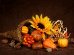 Cornucopia~Thanksgiving