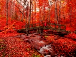 Red autumn forest