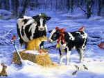 COWS FOR CHRISTMAS
