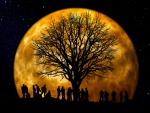 Tree Party at the Full Moon!