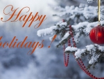 Happy holidays