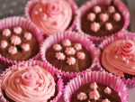 Pink Cupcakes