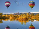hot air balloons and geese reflected in a lake