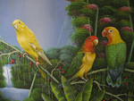 Parrots in Foliage