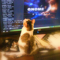 Stitch thinks he can read