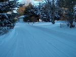 Snowy Road