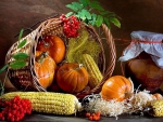 Autumn Still life