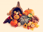 Autumn Harvest