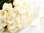 Beautiful White Roses!