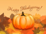 Thanksgiving
