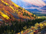 Autumn in the Mountains