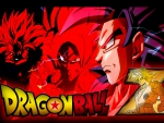 DBZ _ GOKU
