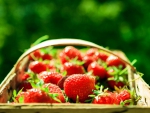 Strawberries