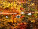 Rocky Autumn Lake