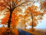 Beautiful Autumn