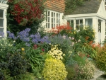 Flower borders