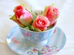 Three buds of roses in a cup