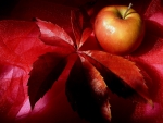 Autumn Apple