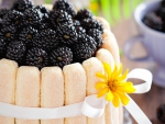 Blackberry Cake