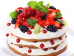 Fruit Cake