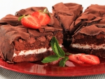 Strawberry Chocolate Cake