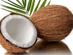 Coconut