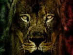 lion of judah