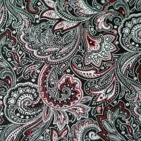 Black, White, & Red Paisley