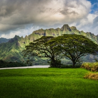 The Lost Cliffs Of Oahu