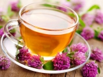 Tea and red clover flowers