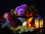 Autumn Still Life
