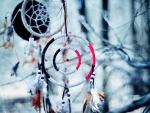 Dream Catcher