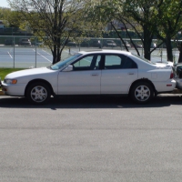 Jackass Parking Jobs