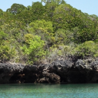 Menai Bay lagoon. Zanzibar