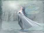 Winter Fairy