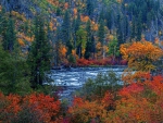 Autumn River