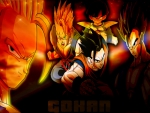 GOHAN