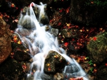 Autumn Waterfall