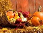 Autumn Harvest