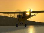 Piper Cub