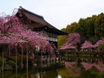 Garden of the Heian Shrine
