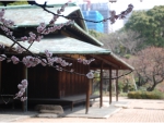 Sakura House