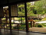 Tea House Window