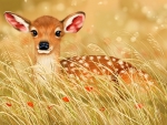 Little fawn