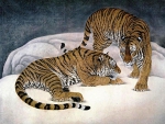 Tigers