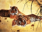 Lovely Tigers