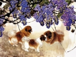 Dogs under blossom Tree