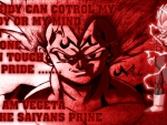 VEGETA 'S _ PRIDE